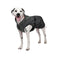 Shedrow K9 Chinook Dog Coat S Chimera - Poudre Pet & Feed Supply